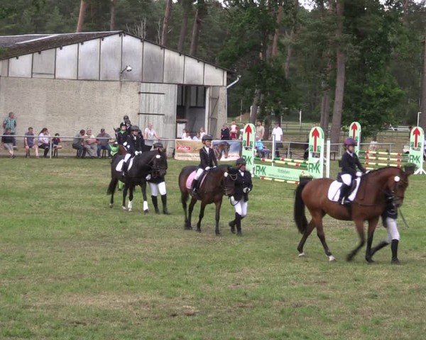 Reitturnier Kakerbeck 2024