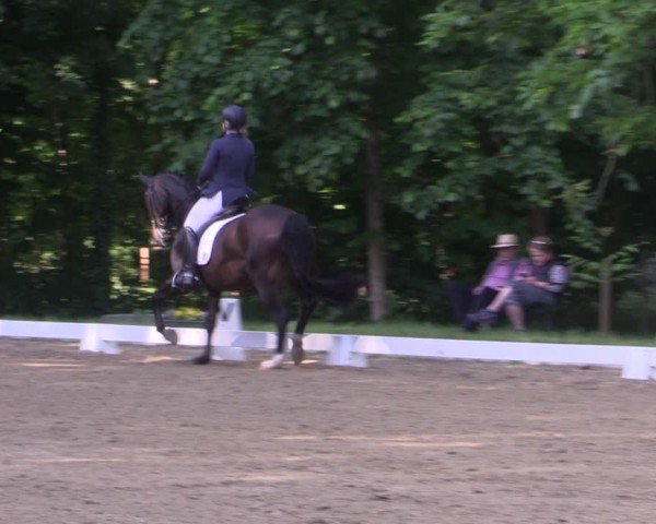 Reitturnier Königsborn 2024