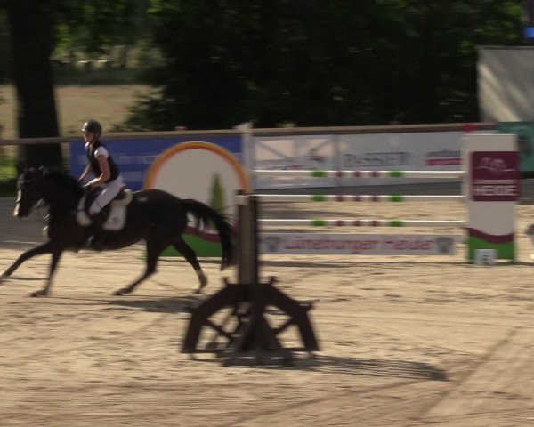 Reitturnier Alvern 2024