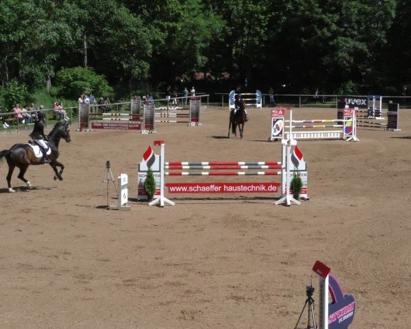 Reitturnier Königsbrunn-Ulrichshof/Schw. 2024
