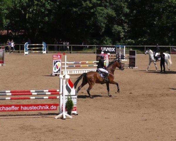 Reitturnier Königsbrunn-Ulrichshof/Schw. 2024