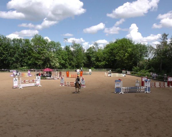 Reitturnier Königsbrunn-Ulrichshof/Schw. 2024