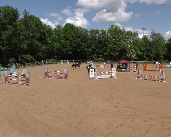 Reitturnier Königsbrunn-Ulrichshof/Schw. 2024