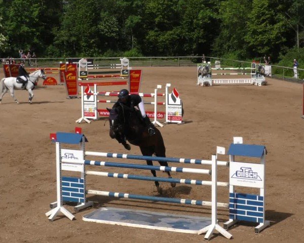 Reitturnier Königsbrunn-Ulrichshof/Schw. 2024