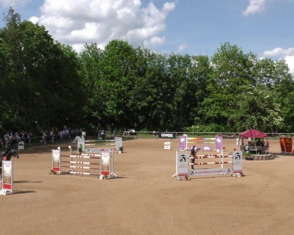 Reitturnier Königsbrunn-Ulrichshof/Schw. 2024