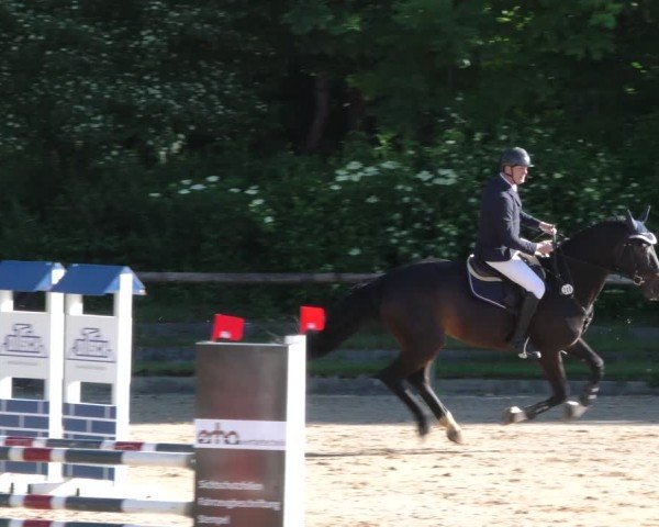 Reitturnier Königsbrunn-Ulrichshof/Schw. 2024