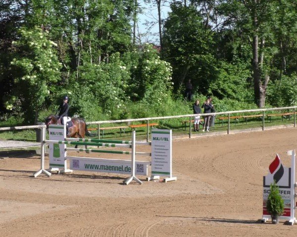 Reitturnier Königsbrunn-Ulrichshof/Schw. 2024
