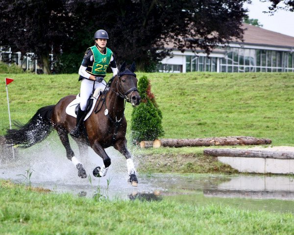 jumper Ciba V. (Rhinelander, 2010, from Cornet Fever)