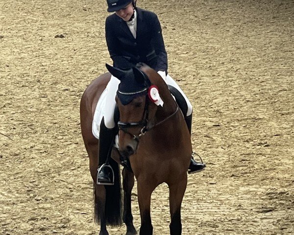 broodmare Marlibu Dance (Oldenburg, 2020, from For Dance)