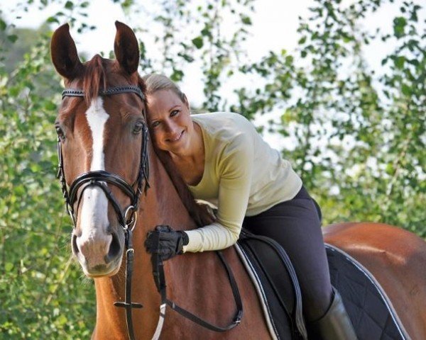 dressage horse Laticio 2 (Hanoverian, 2004, from Le Primeur)