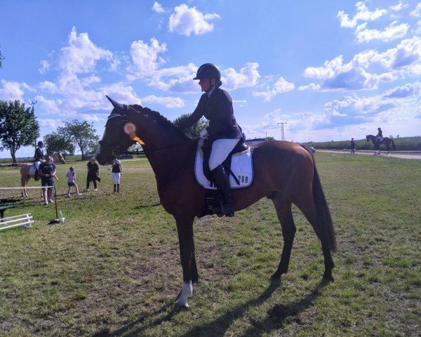 dressage horse Zeitenzauber PSK (German Sport Horse, 2020, from Zoom)