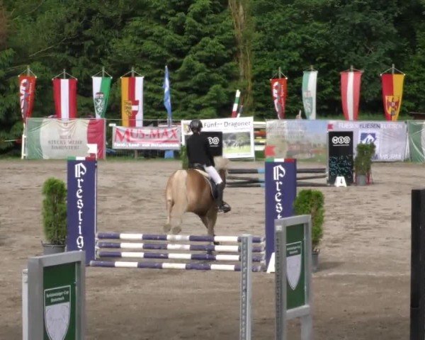 Reitturnier Tillmitsch 2023