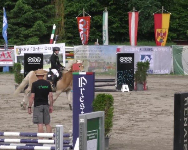Reitturnier Tillmitsch 2023