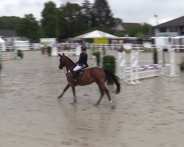Reitturnier Dortmund-Somborn 2024