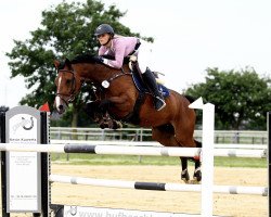 jumper Nikita VA het Vijverhof (Belgian Warmblood, 2013, from Joop 111)
