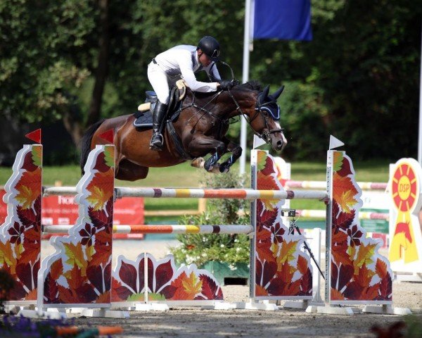 jumper Que Sera G 2 (Oldenburg, 2014, from FRH Quaid)