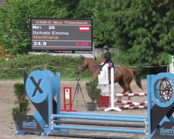 Reitturnier Tillmitsch 2023