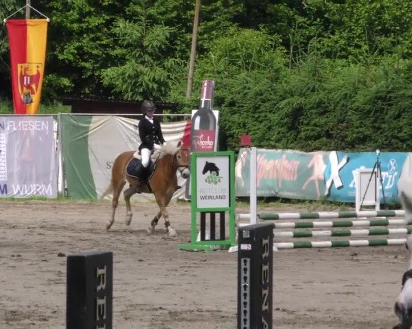 Reitturnier Tillmitsch 2023