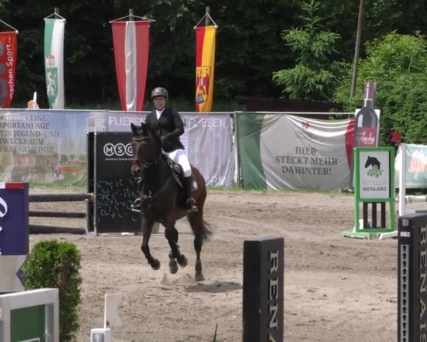 Reitturnier Tillmitsch 2023