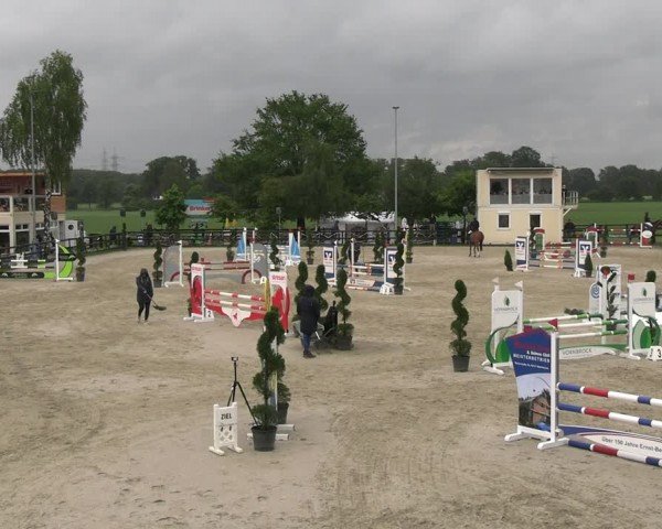 Reitturnier Kirchhellen/Stall Dieckmann 2024