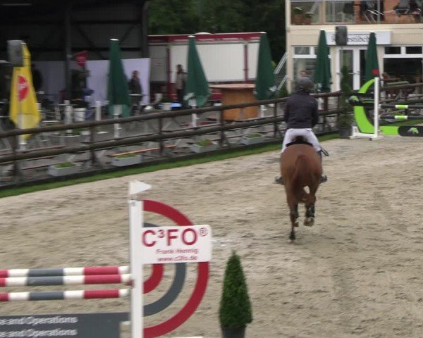 Reitturnier Kirchhellen/Stall Dieckmann 2024