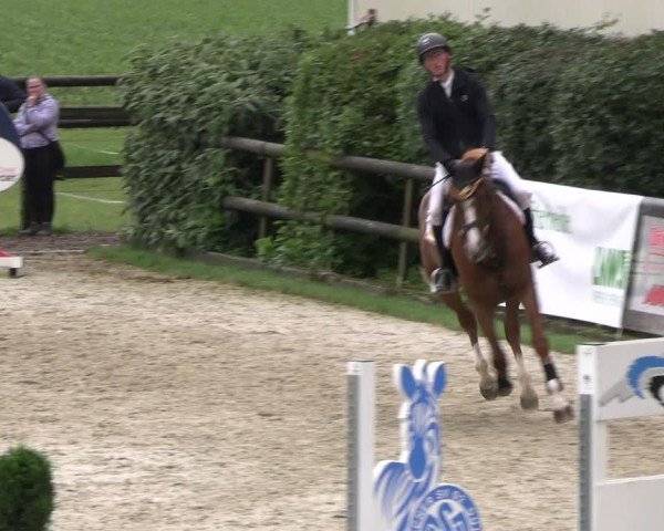 Reitturnier Kirchhellen/Stall Dieckmann 2024