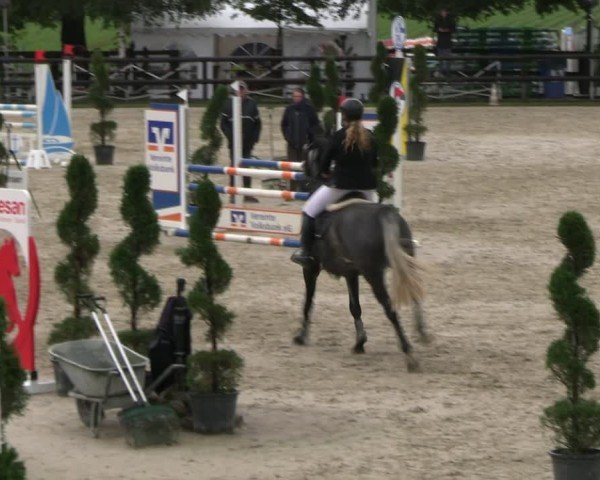 Reitturnier Kirchhellen/Stall Dieckmann 2024