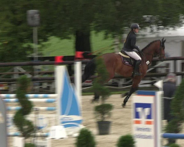Reitturnier Kirchhellen/Stall Dieckmann 2024
