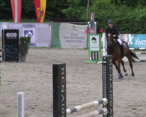 Reitturnier Tillmitsch 2023