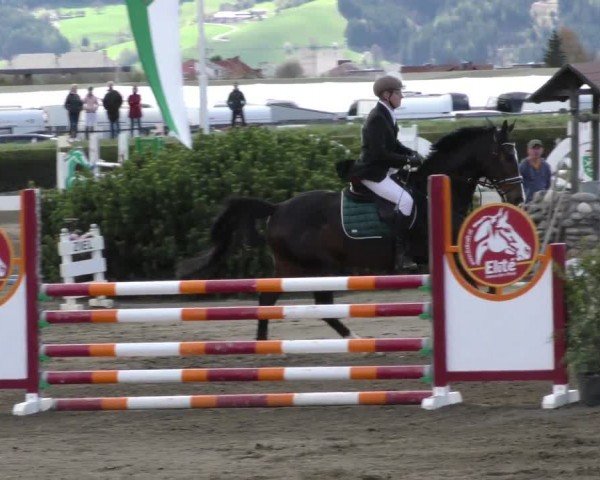 Reitturnier Sachendorf 2022