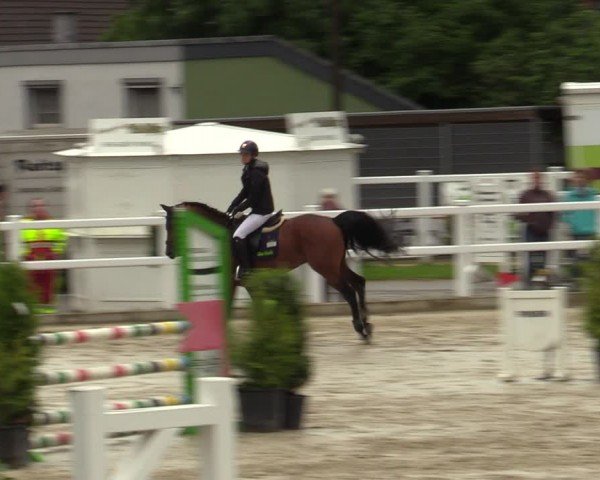 Reitturnier Dortmund-Somborn 2024