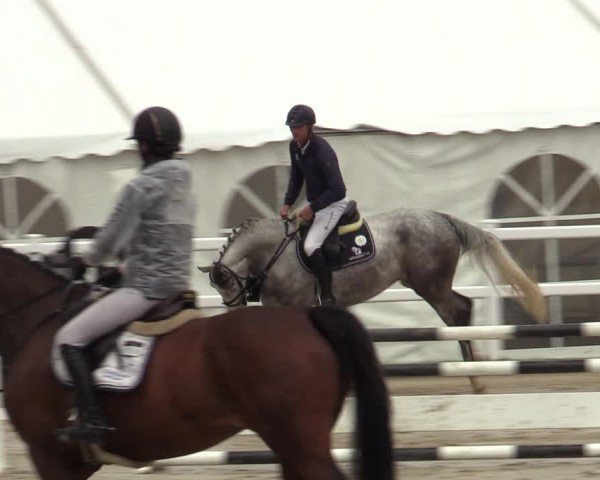 Reitturnier Dortmund-Somborn 2024