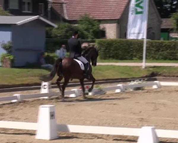 Westfalen-Woche 2012 Münster Handorf