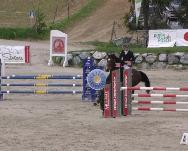 Reitturnier Preding 2022
