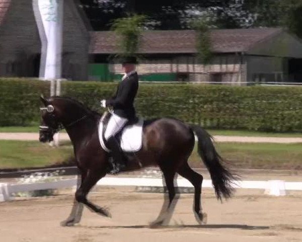 Reitturnier Münster-Handorf 2012
