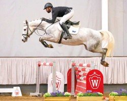 jumper Captain Cornet Sr (Westphalian, 2017, from Cornet Obolensky)
