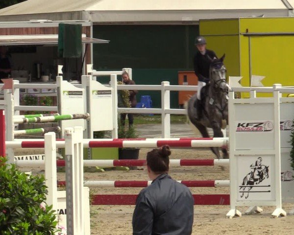 Reitturnier Dortmund-Somborn 2024