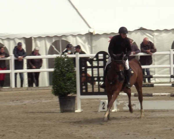 Reitturnier Dortmund-Somborn 2024