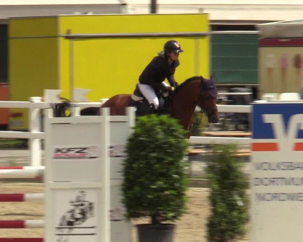 Reitturnier Dortmund-Somborn 2024