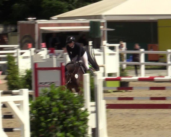 Reitturnier Dortmund-Somborn 2024