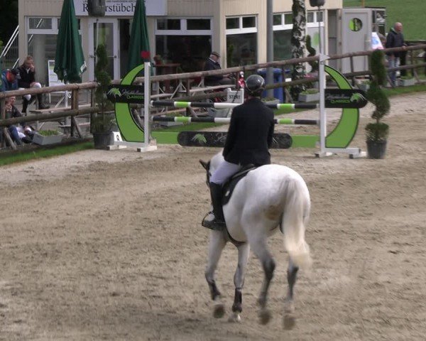 Reitturnier Kirchhellen/Stall Dieckmann 2024