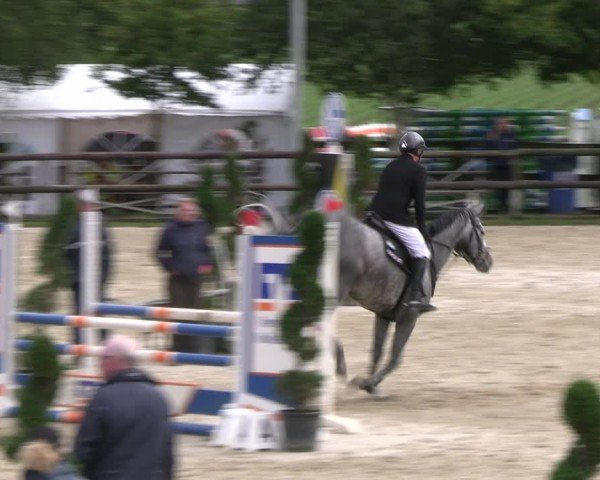 Reitturnier Kirchhellen/Stall Dieckmann 2024