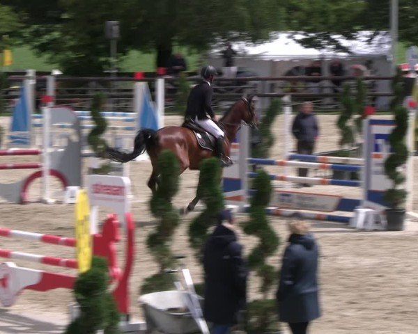 Reitturnier Kirchhellen/Stall Dieckmann 2024