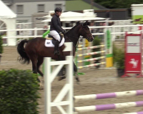 Reitturnier Dortmund-Somborn 2024