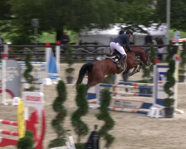 Reitturnier Kirchhellen/Stall Dieckmann 2024