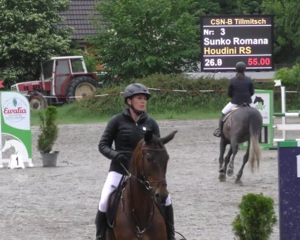 Reitturnier Tillmitsch 2022