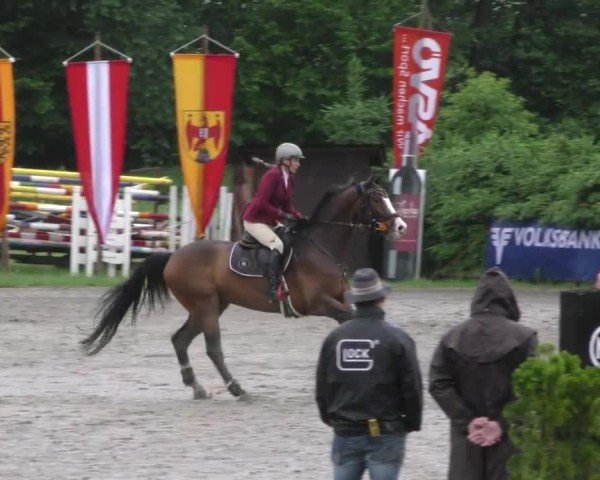 Reitturnier Tillmitsch 2022