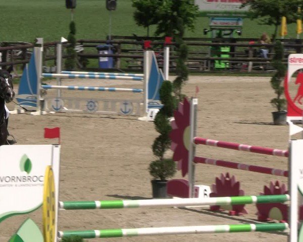 Reitturnier Kirchhellen/Stall Dieckmann 2024
