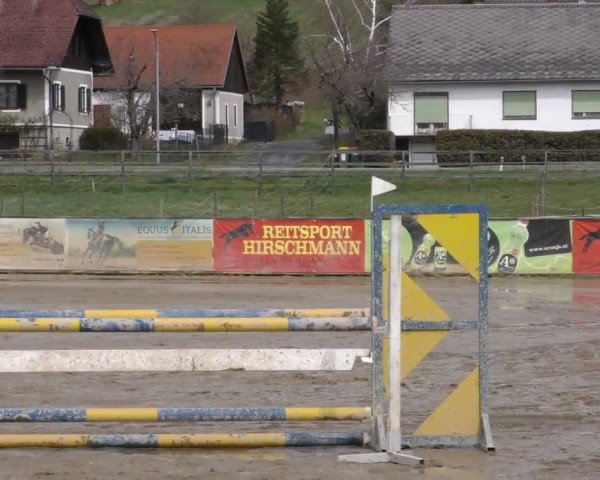 Reitturnier Gniebing-Feldbach 2022