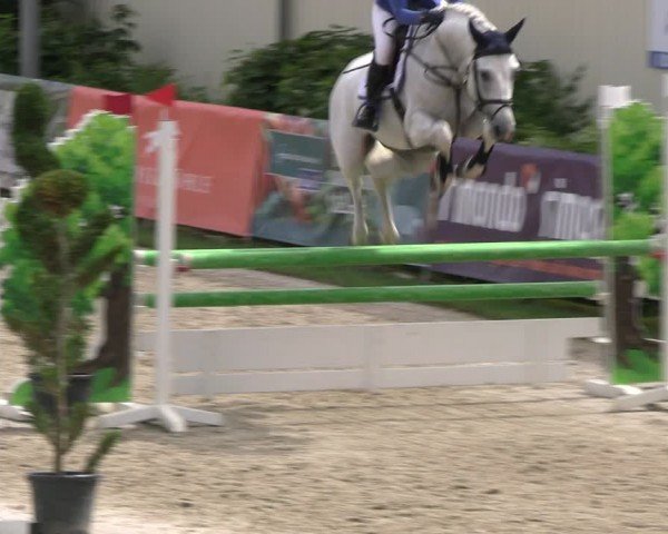 Reitturnier Kirchhellen/Stall Dieckmann 2024